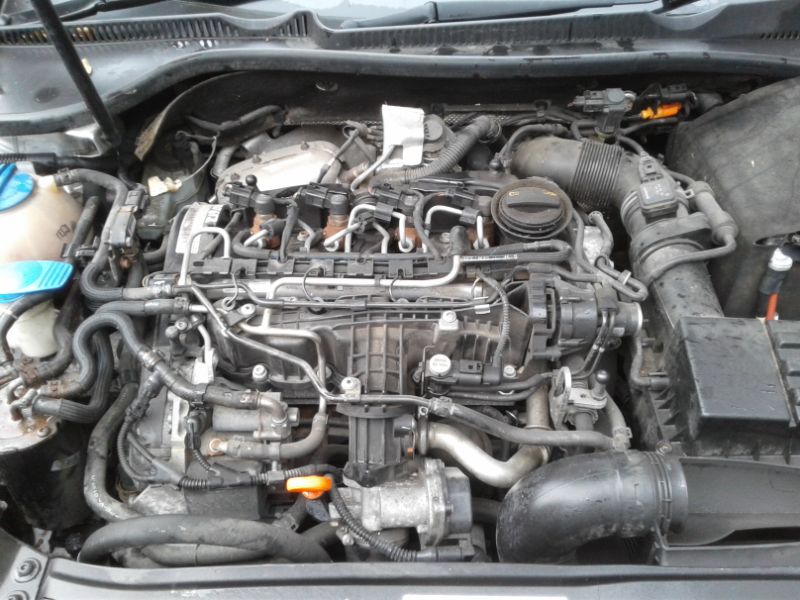 20200918_094255.jpg