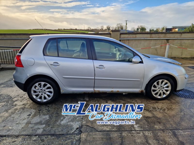 VW_Golf_2006_2.0L_Tdi_Silver_BKD_HDV_6S_LA7W_-_1.jpg