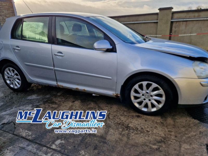 VW_Golf_2006_2.0L_Tdi_Silver_BKD_HDV_6S_LA7W_-_11.jpg