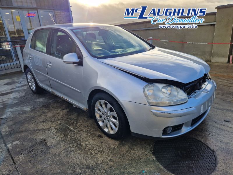 VW_Golf_2006_2.0L_Tdi_Silver_BKD_HDV_6S_LA7W_-_9.jpg