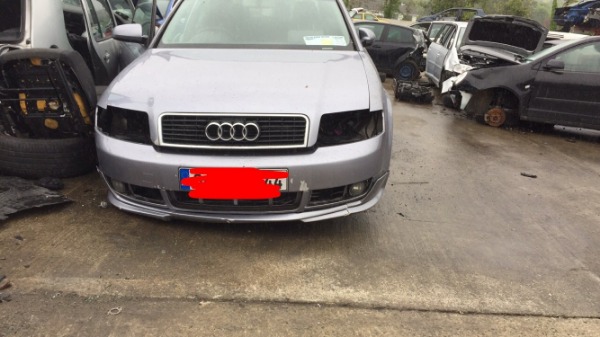 car-cat-b-814.JPG