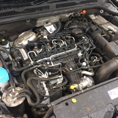JETTA-141-1.JPG